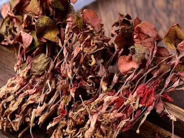 Süper Sınıf Kurutulmuş Anoectochilus Roxburghii Özel Pazarlara Ulaşıyor