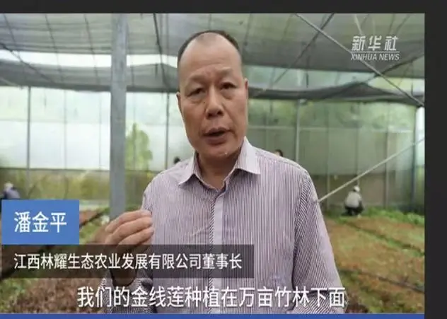 Jiangxi Linyao Ekolojik Tarım Geliştirme Co., Ltd. Başkanı Pan Jinping, Xinhua Haber Ajansı ile röportaj yaptı