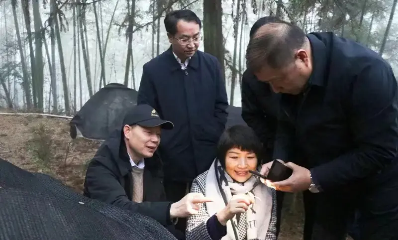 Jiangzhong İlaç eski Başkanı ve Jiangxi İl Parti Komitesi Daimi Komitesinin Mevcut Üyesi ve Tanıtım Departmanı Direktörü Lu Xiaoqing, Ekim Üssümüzü Denetliyor